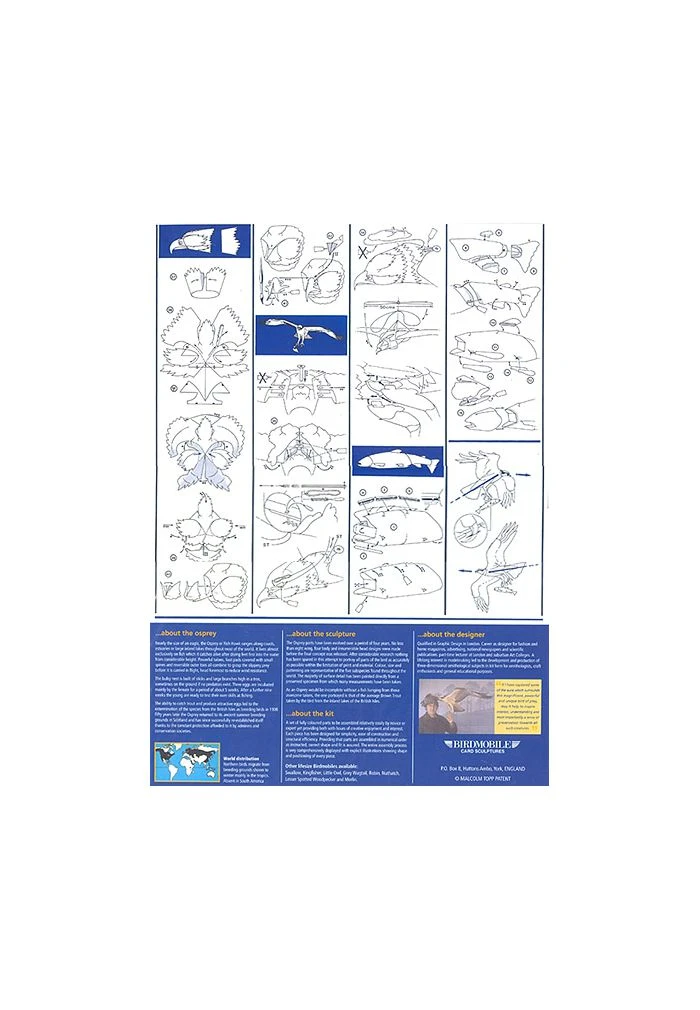 Birdmobile Balbuzard Pêcheur 4 Birdmobile Balbuzard Pêcheur – Image 2