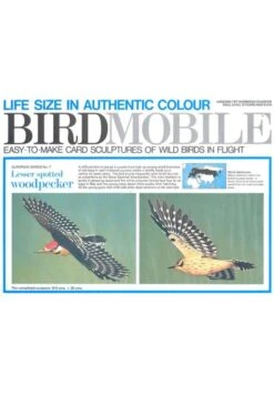 Birdmobile Pic épeichette