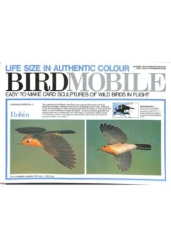 Birdmobile Rougegorge Familier