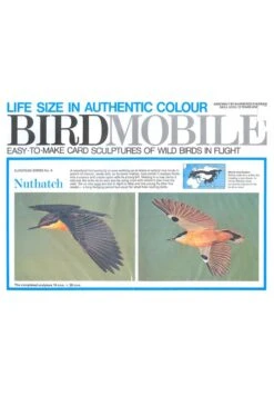 Birdmobile Sittelle Torchepot