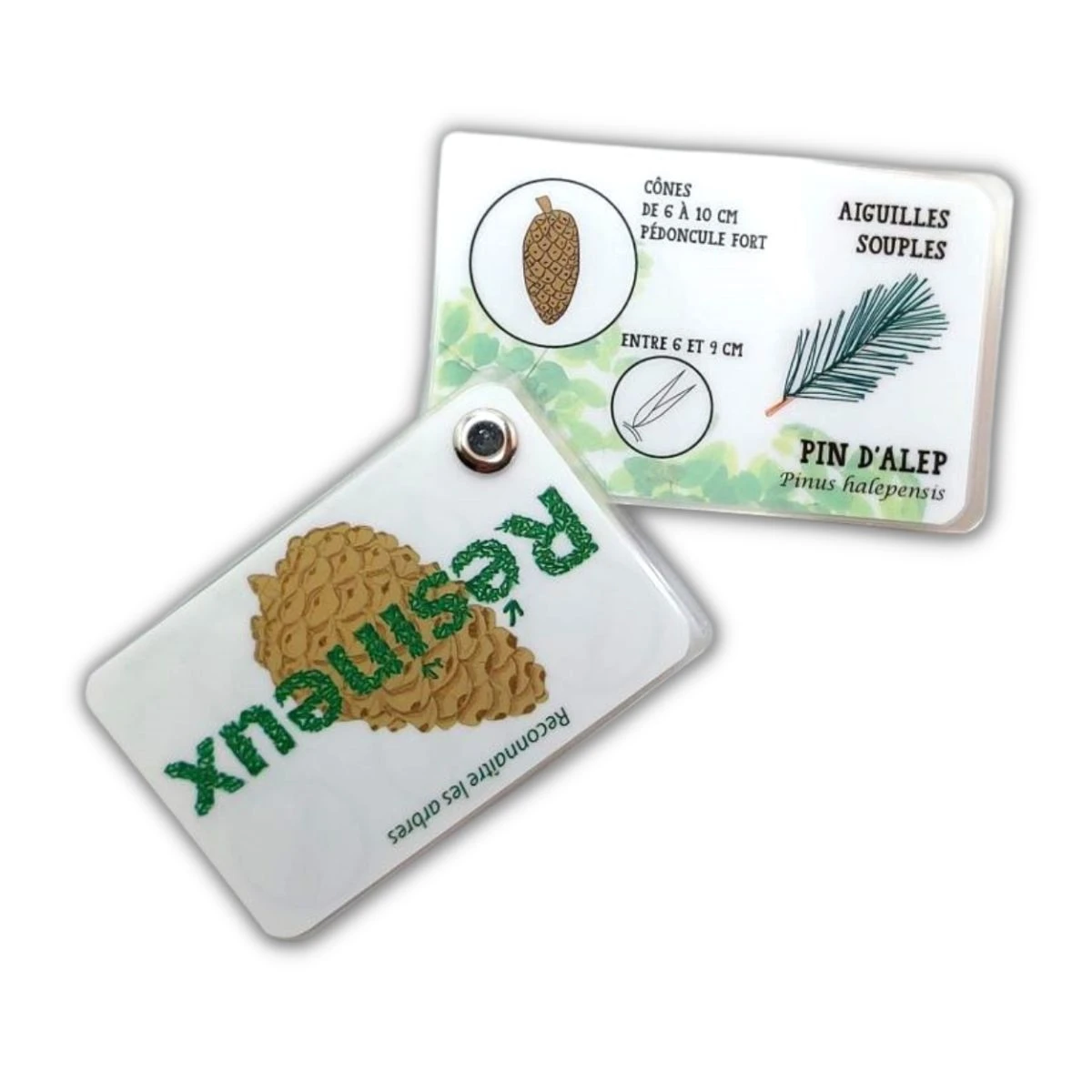 Carnet Arbres, Feuillus Et Résineux 4 Carnet Arbres, Feuillus Et Résineux – Image 2