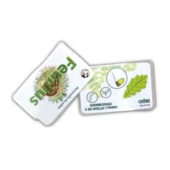 Carnet Arbres, Feuillus Et Résineux 8 Carnet Arbres, Feuillus Et Résineux -Divertissement Jeux Jouets Magasin carnet arbres feuillus et resineux 2