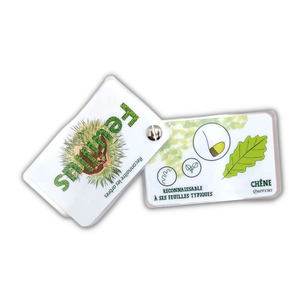 Carnet Arbres, Feuillus Et Résineux 5 Carnet Arbres, Feuillus Et Résineux – Image 3