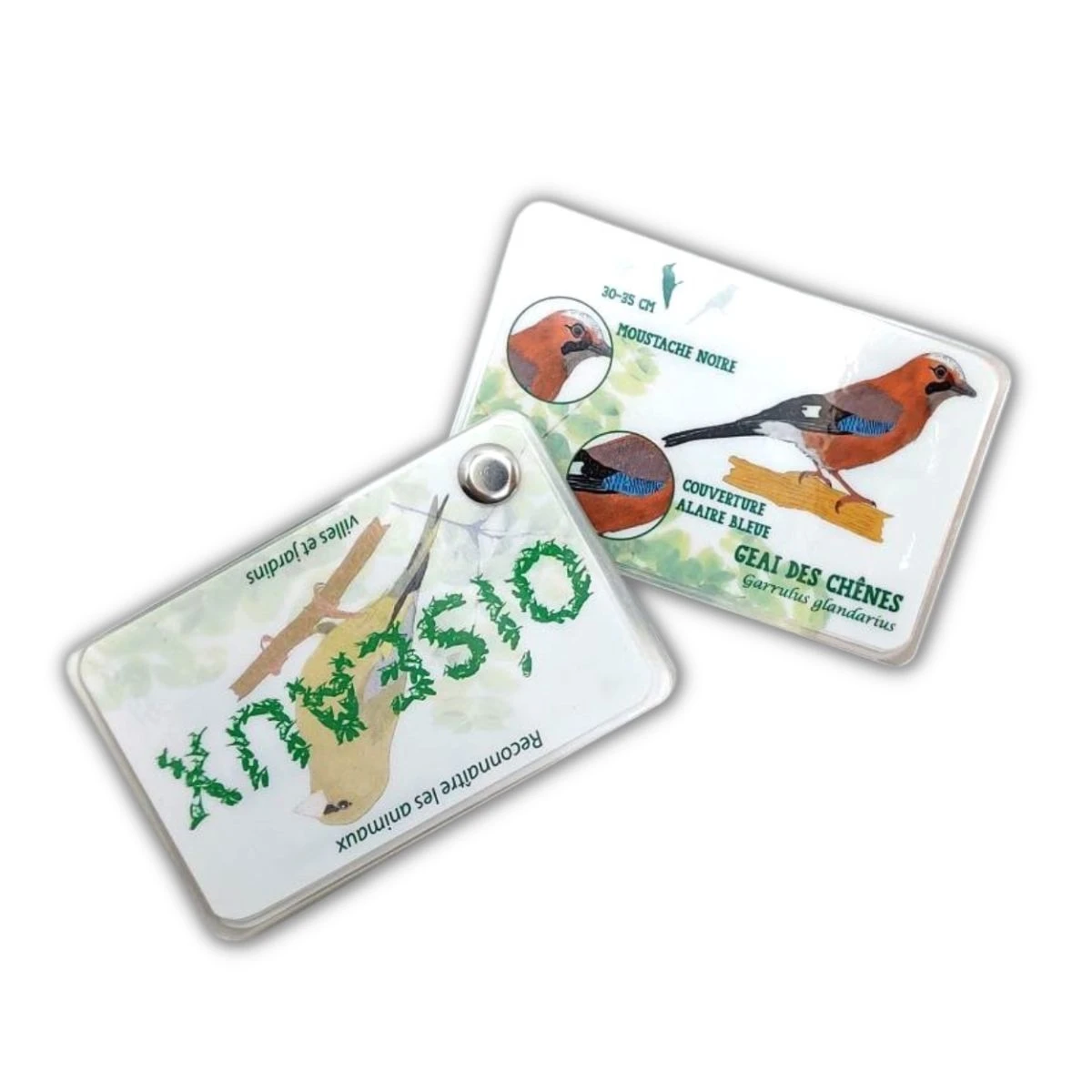 Carnet Oiseaux Des Jardins Et Des Villes 4 Carnet Oiseaux Des Jardins Et Des Villes – Image 2