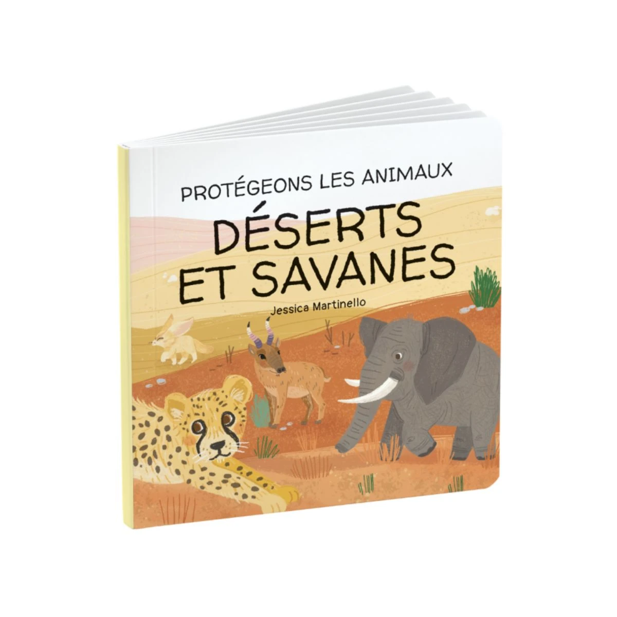 Coffret Protégeons Les Animaux - Déserts Et Savanes 4 Coffret Protégeons Les Animaux - Déserts Et Savanes – Image 2