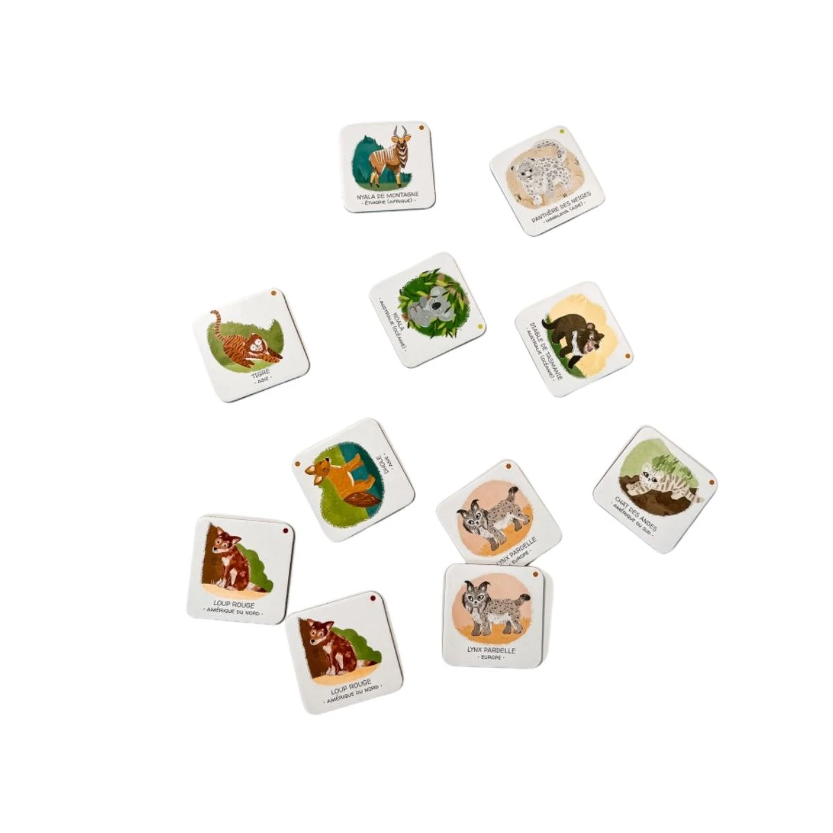 Coffret Protégeons Les Animaux - La Forêt 6 Coffret Protégeons Les Animaux - La Forêt – Image 4