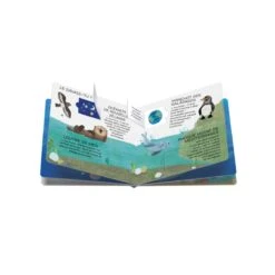 Coffret Protégeons Les Animaux - Mers Et Océans -Divertissement Jeux Jouets Magasin coffret protegeons les animaux mers et oceans 2