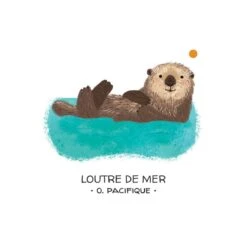 Coffret Protégeons Les Animaux - Mers Et Océans -Divertissement Jeux Jouets Magasin coffret protegeons les animaux mers et oceans 3