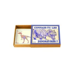 Connais-tu Les Dinosaures ?