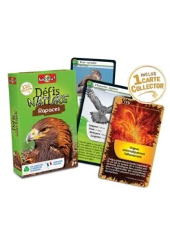 Défis Nature : Rapaces -Divertissement Jeux Jouets Magasin defis nature rapaces 2