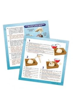 BUKI Dig Kit Coquillages -Divertissement Jeux Jouets Magasin dig kit coquillages 2