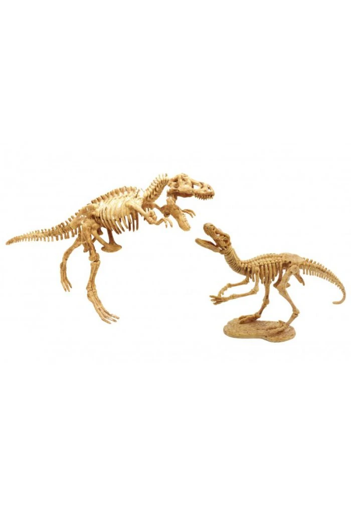 BUKI Dino Dig Tyrannosaure Et Velociraptor 5 BUKI Dino Dig Tyrannosaure Et Velociraptor – Image 3