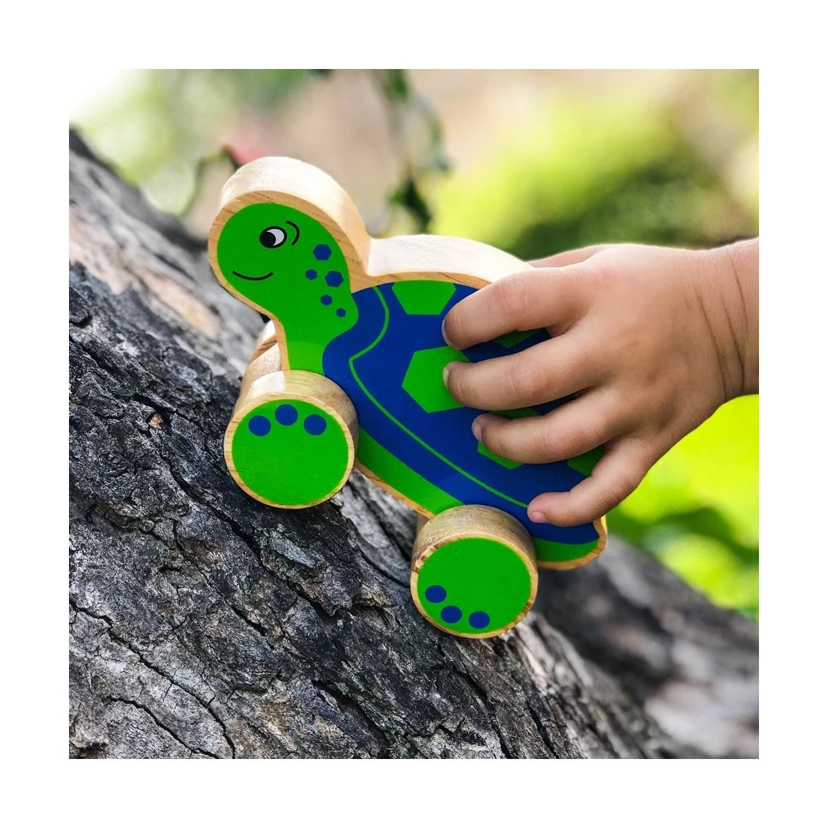 Tortue à Pousser 4 Tortue à Pousser – Image 2