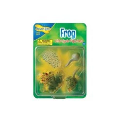 Figurines Métamorphose Grenouille