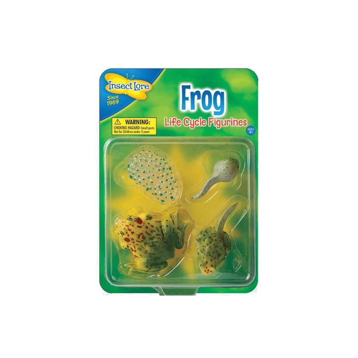 Figurines Métamorphose Grenouille 3 Figurines Métamorphose Grenouille