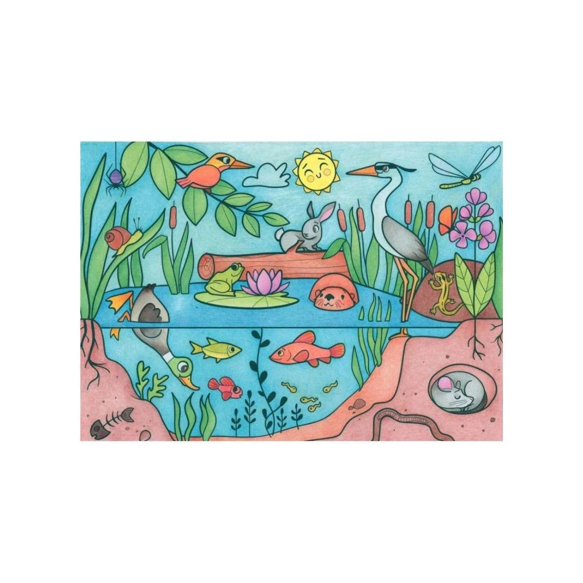 Graffy Roll Affiches à Colorier : Ecosystème 4 Graffy Roll Affiches à Colorier : Ecosystème – Image 2