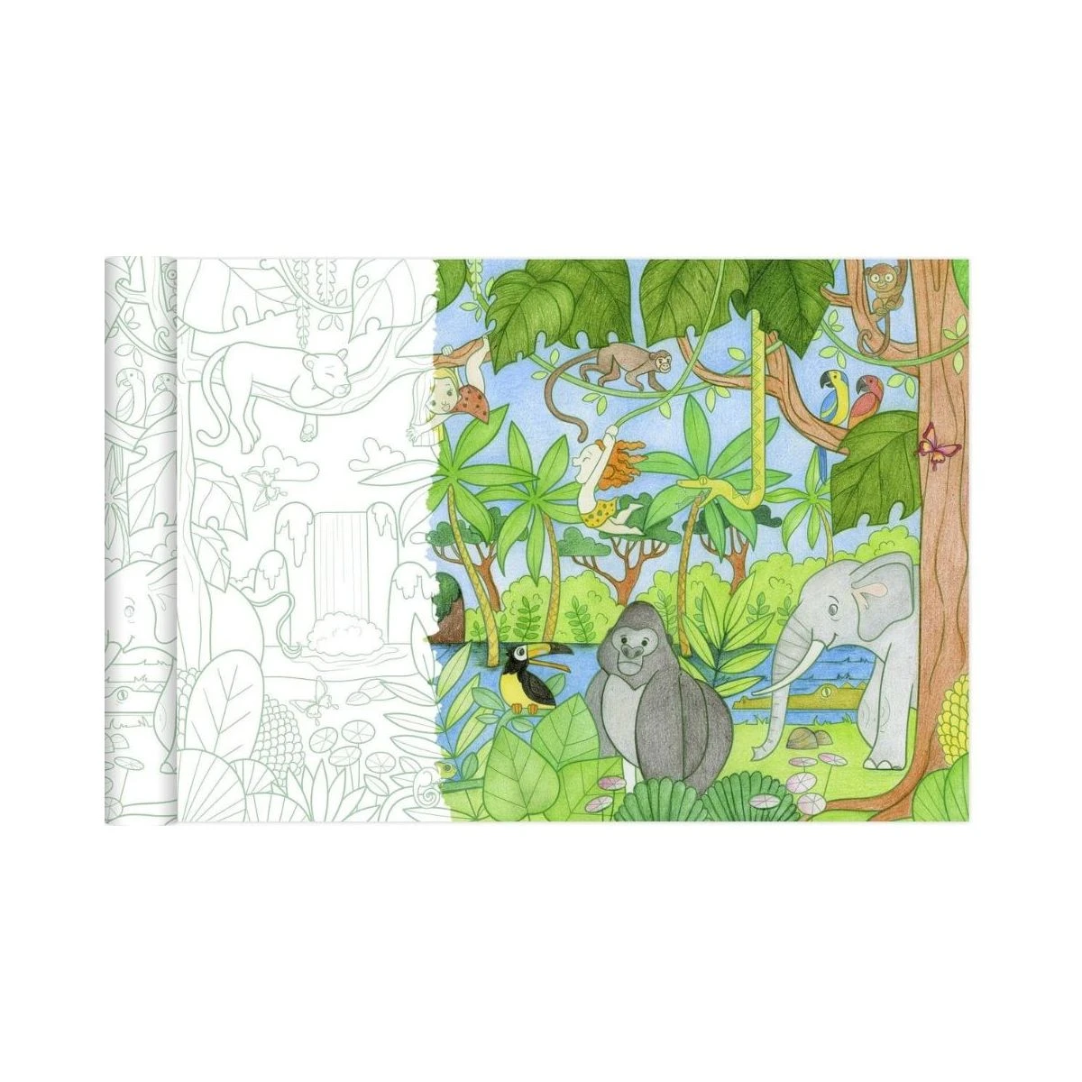 Graffy Roll Affiches à Colorier : La Jungle 3 Graffy Roll Affiches à Colorier : La Jungle