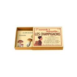 J'apprends à Reconnaître Les Champignons
