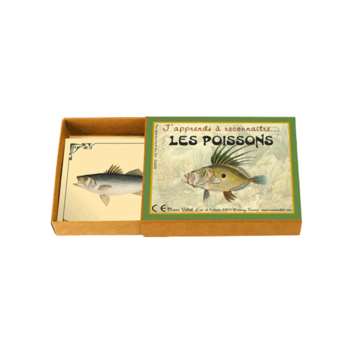 J'apprends à Reconnaîtres Les Poissons 4 J'apprends à Reconnaîtres Les Poissons – Image 2