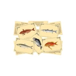 J'apprends à Reconnaîtres Les Poissons