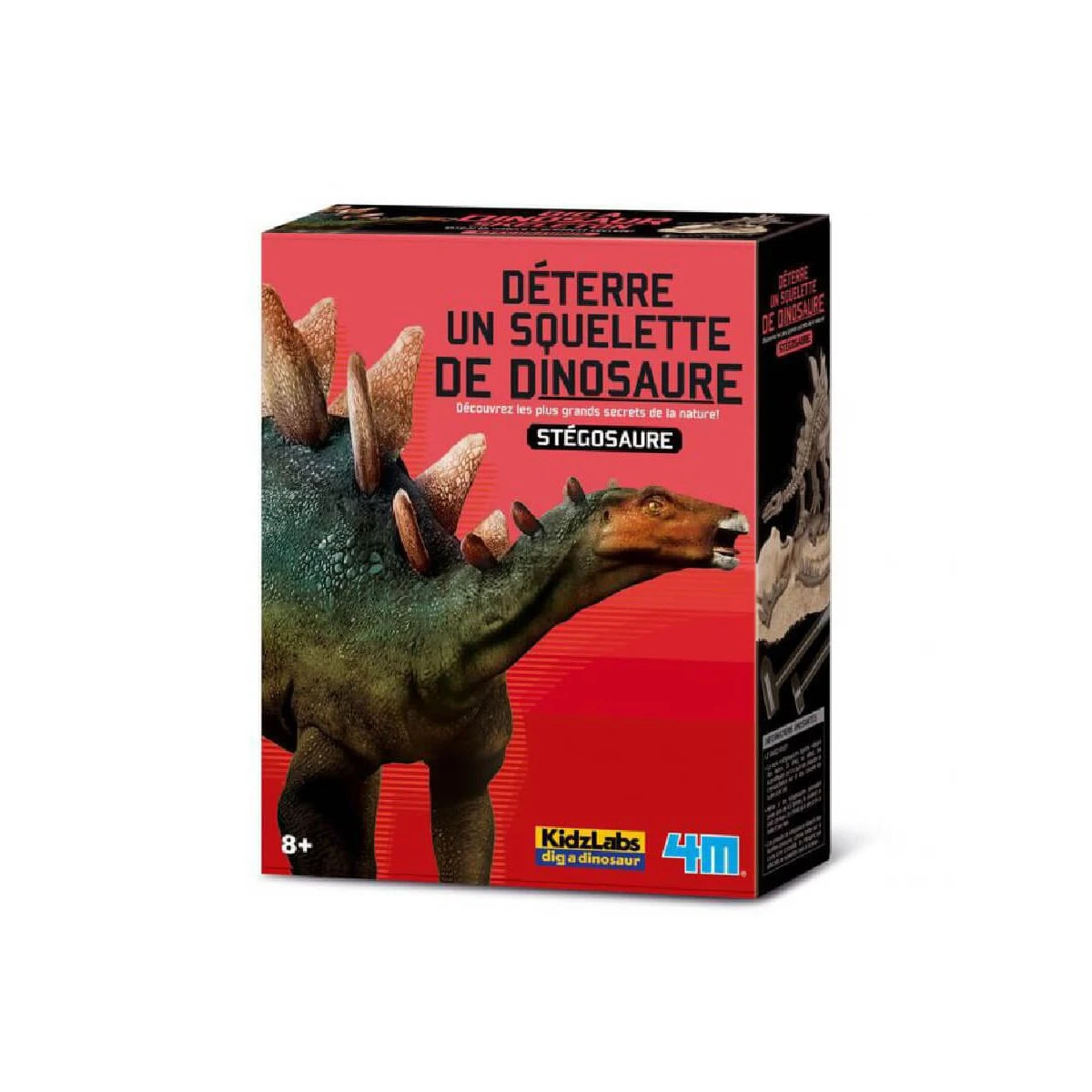 Dam Kit Fabrique Ton Stégosaurus 3 Dam Kit Fabrique Ton Stégosaurus