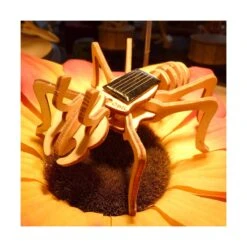 Kit Fourmi -Divertissement Jeux Jouets Magasin kit fourmi 2