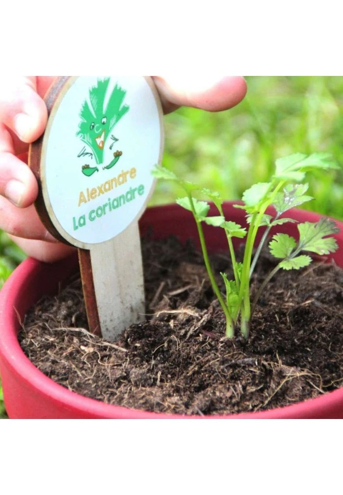 Kit Herbes Aromatiques Des Enfants 5 Kit Herbes Aromatiques Des Enfants – Image 3