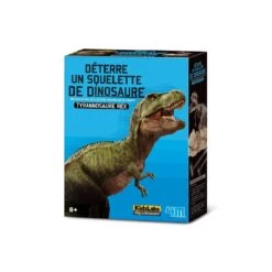 Dam Kit Pour Déterrer Un Dinosaure Tyrannosaurus Rex