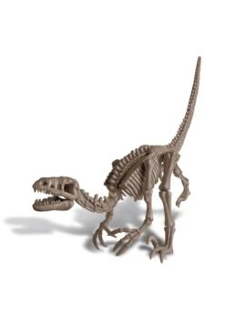 Divertissement Jeux Jouets Magasin -Divertissement Jeux Jouets Magasin kit pour deterrer un dinosaure velociraptor 1