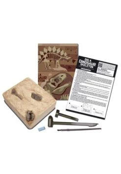 4M Kit Pour Déterrer Un Dinosaure Velociraptor -Divertissement Jeux Jouets Magasin kit pour deterrer un dinosaure velociraptor 2