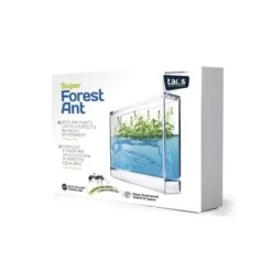 Dam Kit Super Fourmiliere Forest