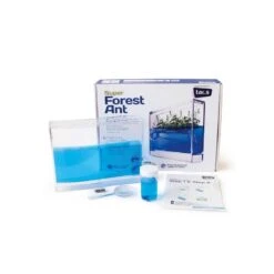 Kit Super Fourmiliere Forest Avec Base Lumineuse Led