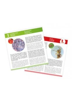 Lames Pour Microscope Buki 9 Lames Pour Microscope Buki -Divertissement Jeux Jouets Magasin lames pour microscope buki 3