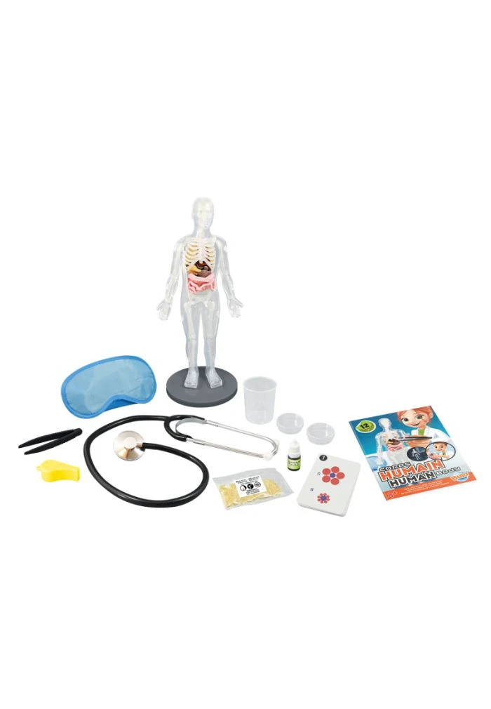 BUKI Le Corps Humain 4 BUKI Le Corps Humain – Image 2