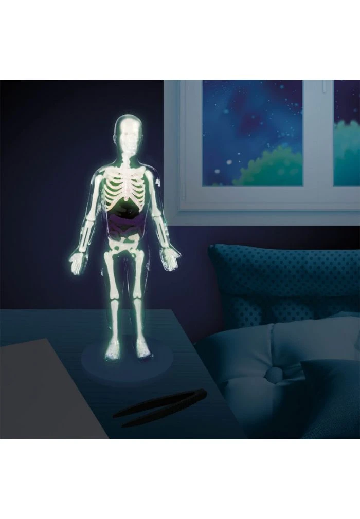 BUKI Le Corps Humain 5 BUKI Le Corps Humain – Image 3