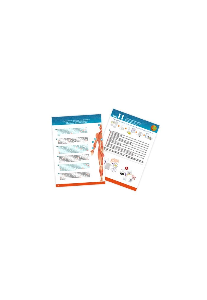 BUKI Le Corps Humain 7 BUKI Le Corps Humain – Image 5