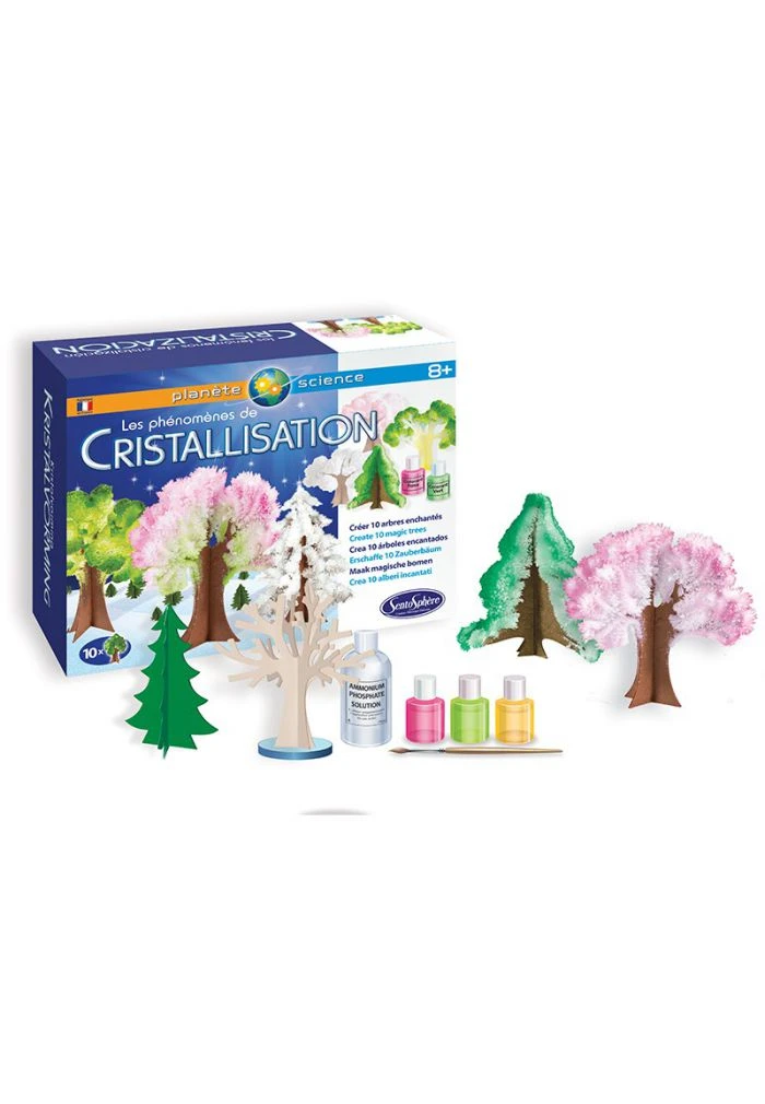 Les Phénomènes De Cristallisation 4 Les Phénomènes De Cristallisation – Image 2