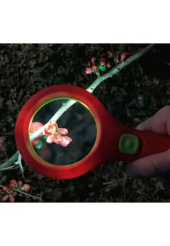 Moses Loupe Lumineuse Avec Leds -Divertissement Jeux Jouets Magasin loupe lumineuse avec leds 2