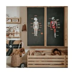 Magnets Le Corps Humain -Divertissement Jeux Jouets Magasin magnets le corps humain fr 1