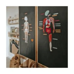 Magnets Le Corps Humain -Divertissement Jeux Jouets Magasin magnets le corps humain fr 2