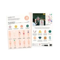 Magnets Le Corps Humain -Divertissement Jeux Jouets Magasin magnets le corps humain fr 7