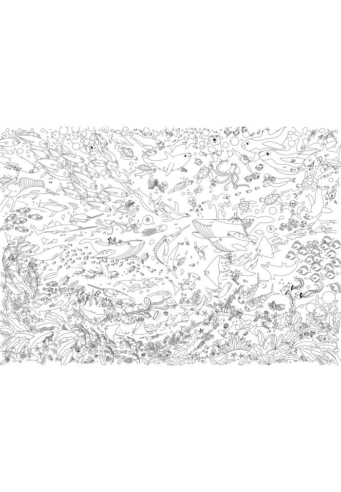 Mes Posters à Colorier Océans 5 Mes Posters à Colorier Océans – Image 3