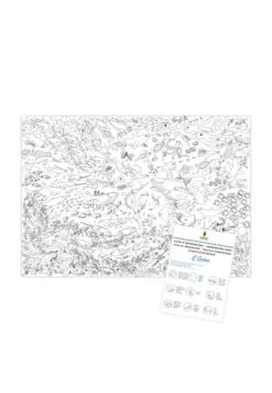 Mes Posters à Colorier Océans 9 Mes Posters à Colorier Océans -Divertissement Jeux Jouets Magasin mes posters a coloriers oceans 3