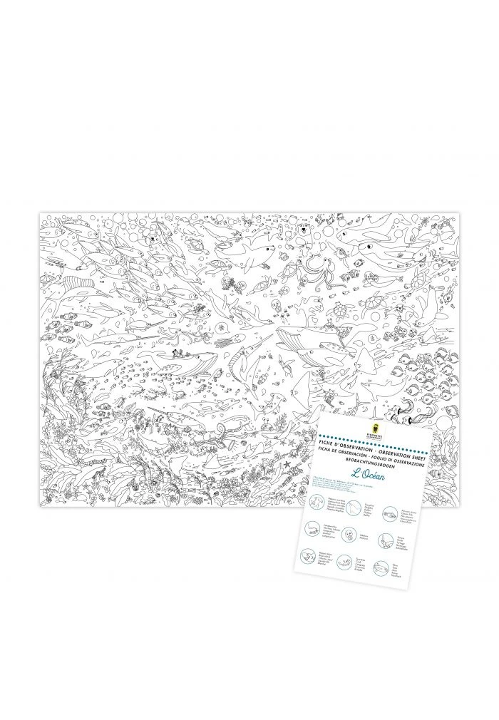 Mes Posters à Colorier Océans 6 Mes Posters à Colorier Océans – Image 4