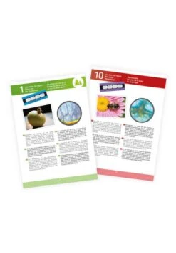 BUKI Microscope 15 Expériences -Divertissement Jeux Jouets Magasin microscope 15 experiences 2