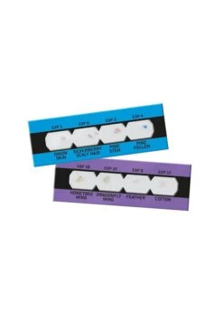 BUKI Microscope 15 Expériences -Divertissement Jeux Jouets Magasin microscope 15 experiences 3