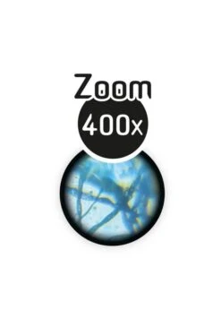 BUKI Microscope 15 Expériences -Divertissement Jeux Jouets Magasin microscope 15 experiences 4