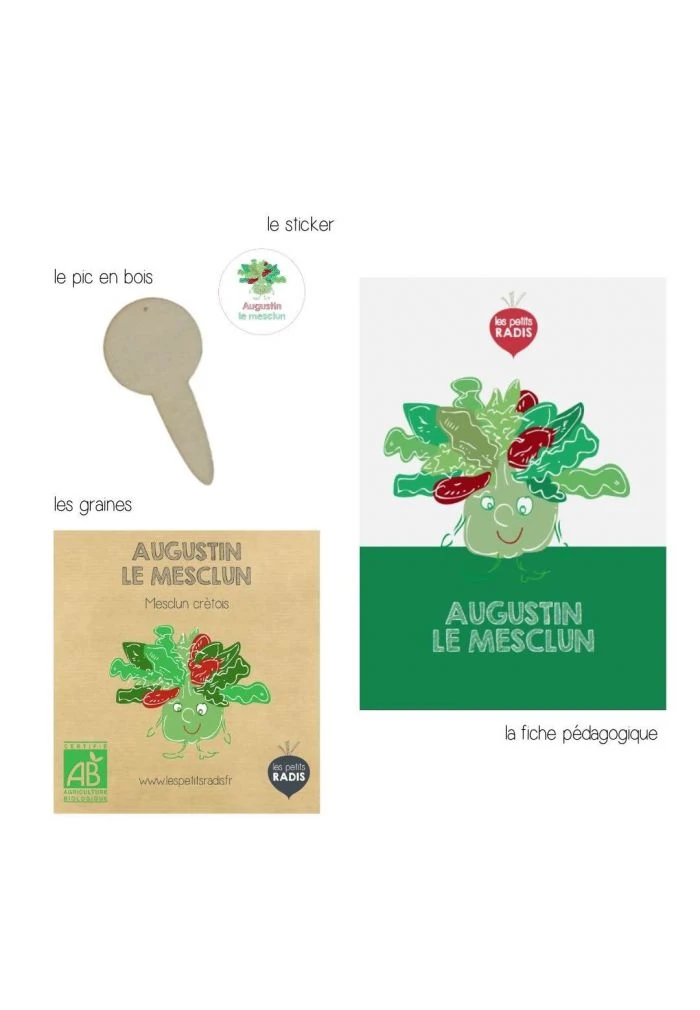 Mini Kit De Graines BIO D'Augustun Le Mesclun 4 Mini Kit De Graines BIO D'Augustun Le Mesclun – Image 2