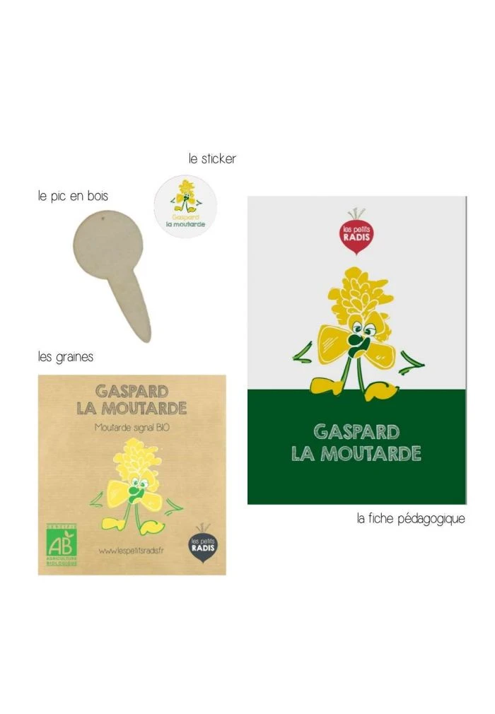 Mini Kit De Graines BIO De Gaspard La Moutarde 4 Mini Kit De Graines BIO De Gaspard La Moutarde – Image 2
