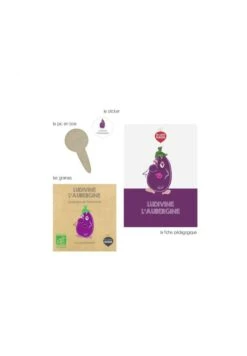 Mini Kit De Graines BIO De Ludivine L'aubergine -Divertissement Jeux Jouets Magasin mini kit de graines bio de ludivine l aubergine 2